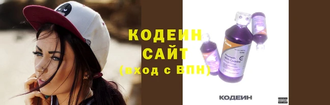 мяу мяу мука Бородино