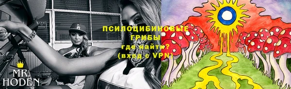 мяу мяу мука Бородино