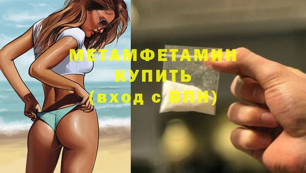 мяу мяу мука Бородино