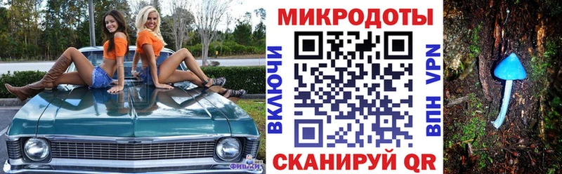 Галлюциногенные грибы Psilocybine cubensis  Орск 